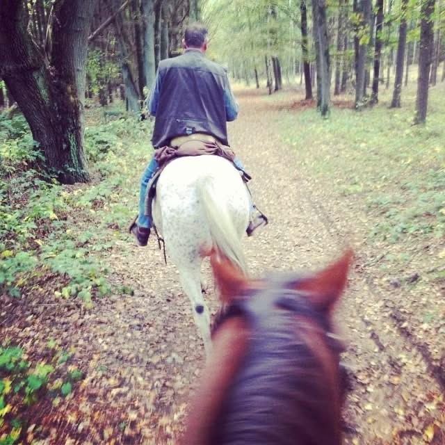 Rit door het bos, achter mijn vader op zijn gevlekte paard