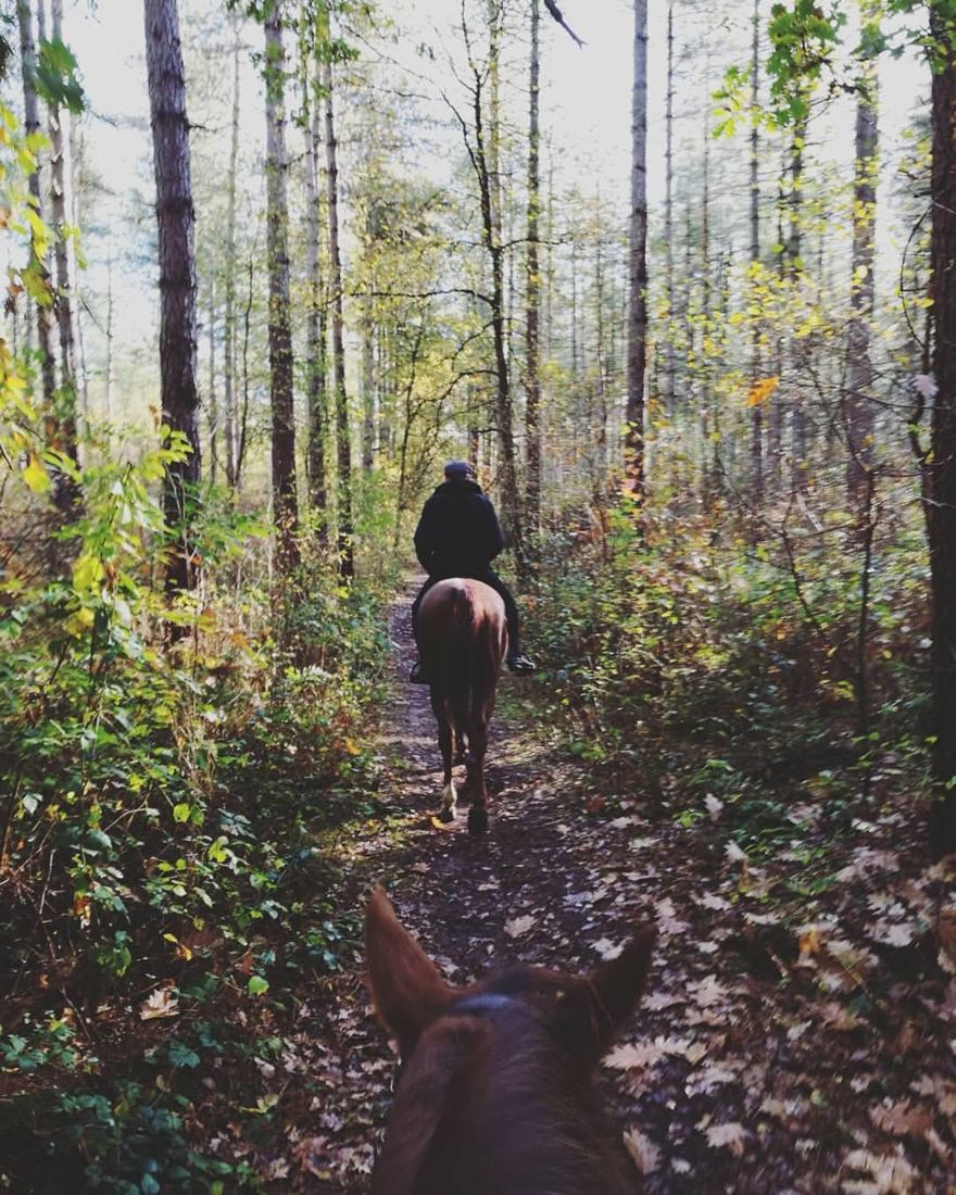 Rit door het herfstbos, achter mijn vader