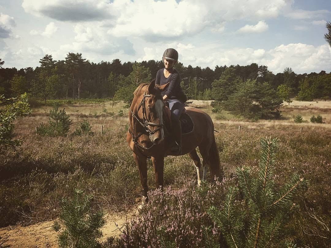 Marieke te paard tussen de heide en de dennen