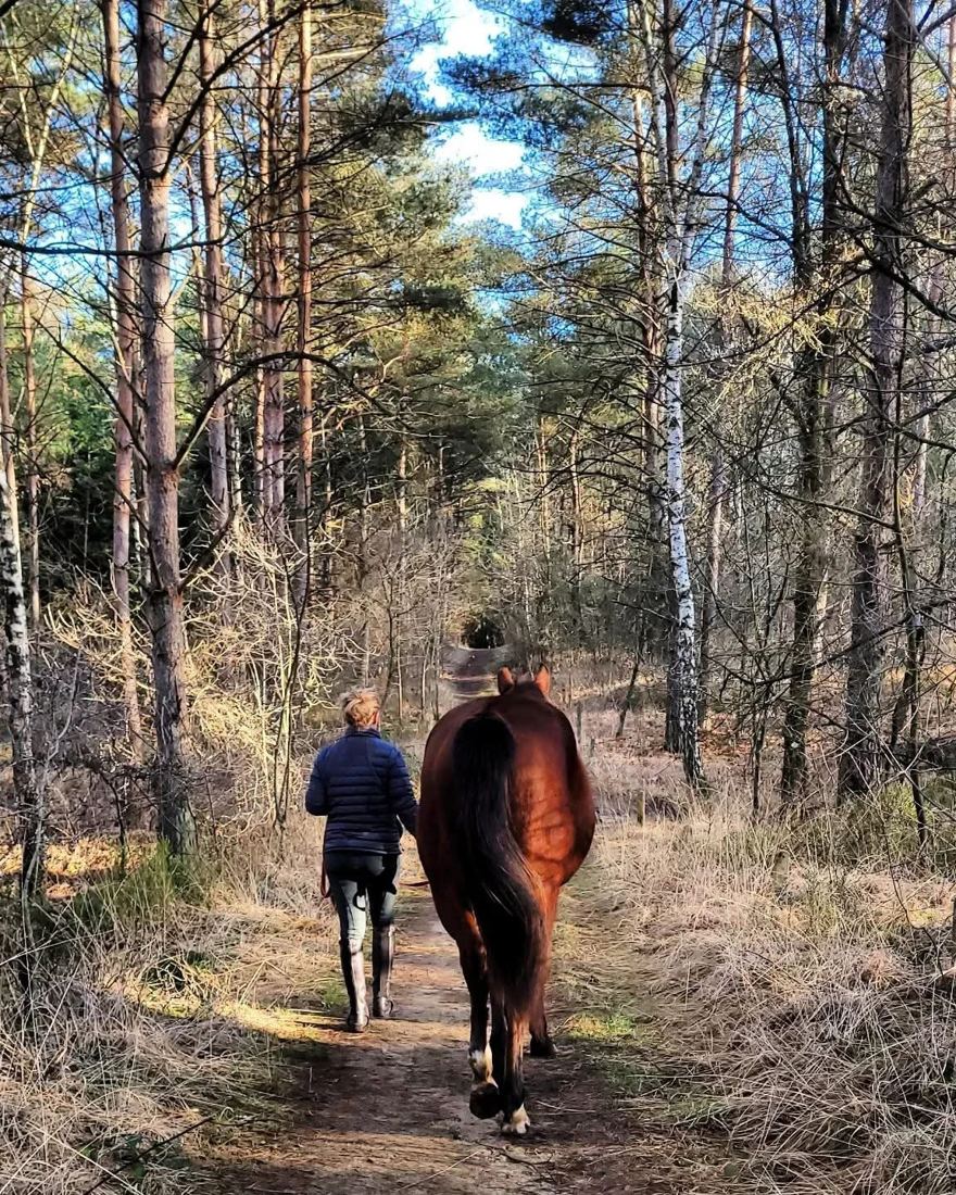 Marieke wandelt met haar paard aan de hand door het bos